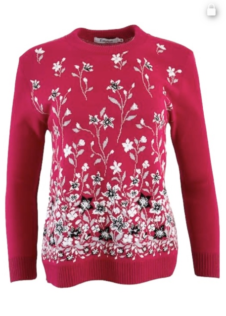 Emma Red Floral Jumper